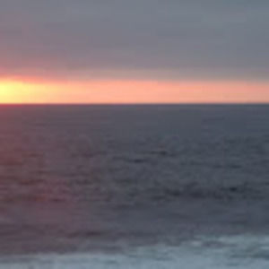 Meet your Posher, Bridget